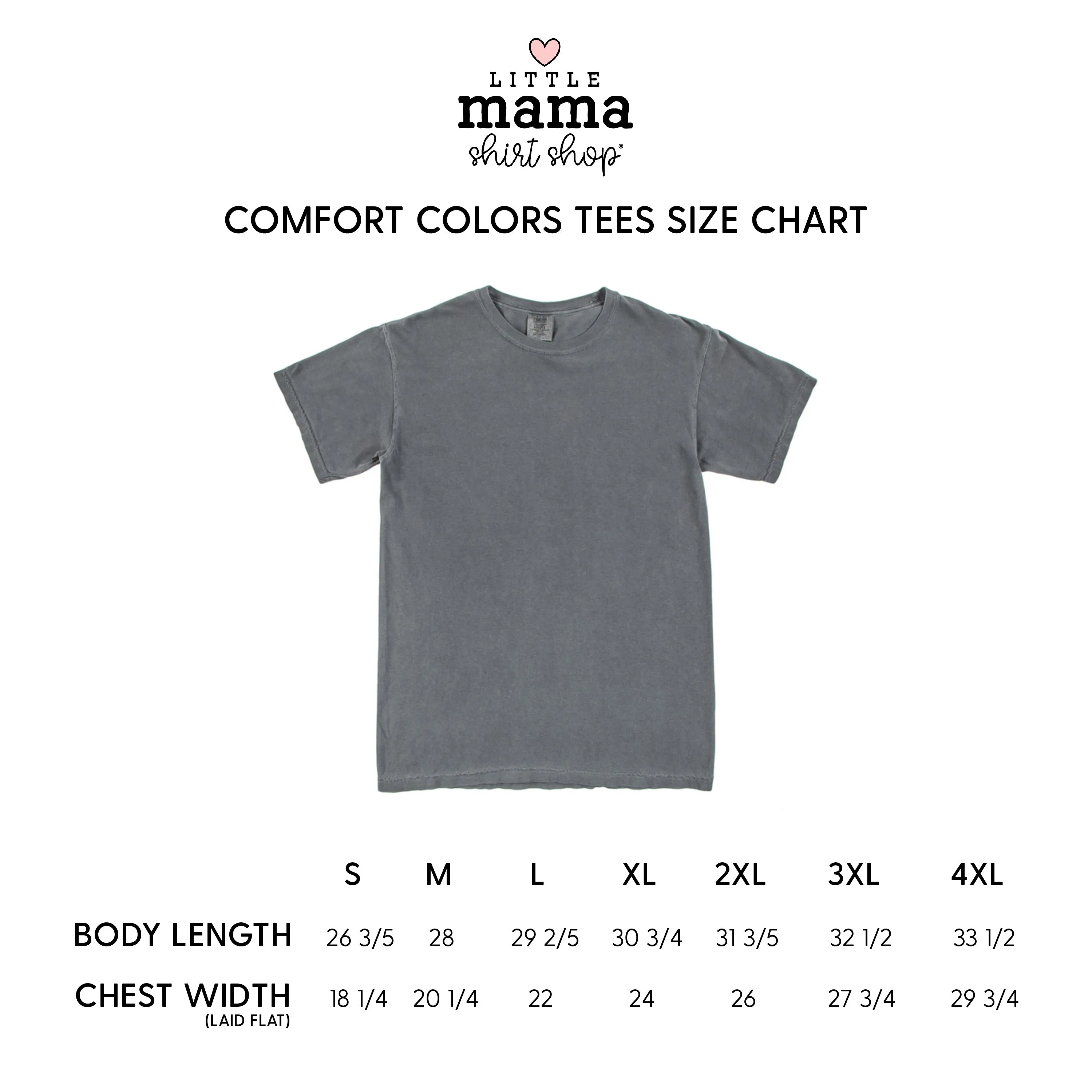 Baseball - A Little Dirt Never Hurt - SHORT SLEEVE COMFORT COLORS TEE